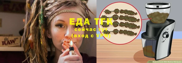 индика Абинск