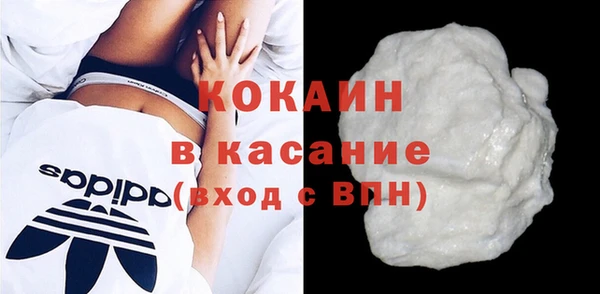 индика Абинск