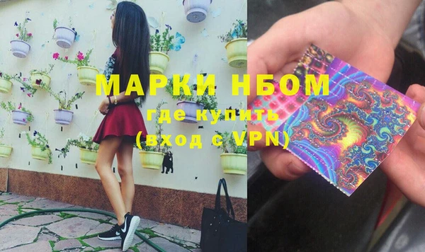 индика Абинск